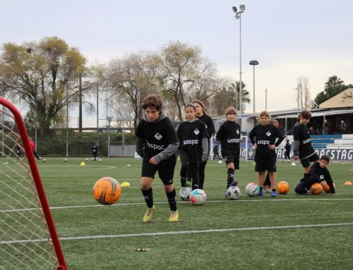 Best Boarding Schools in Spain: Where Education and Football Create Future Professionals